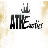 Channel Logo