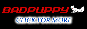 Join Badpuppy Today For the Best in Gay Porn