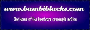 bambiblacks.com
